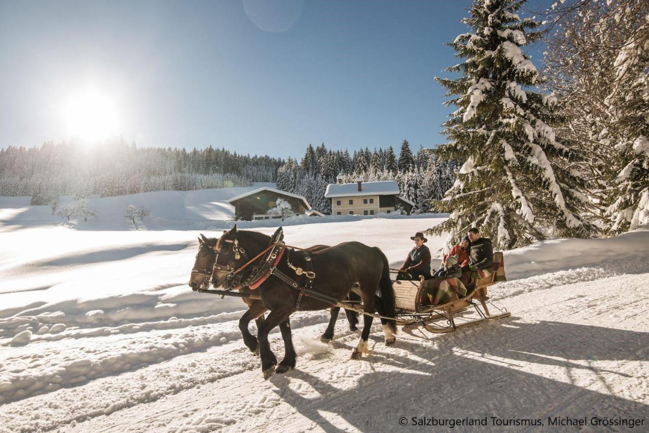 Hideaway Dachstein West By Alps Resorts Sankt Martin am Tennengebirge Bagian luar foto